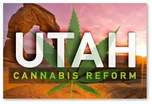 yuta medicinskaya marihuana