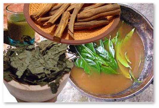 1455279527 ayahuasca 271323