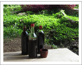 1455280661 ayauyaska v medicine