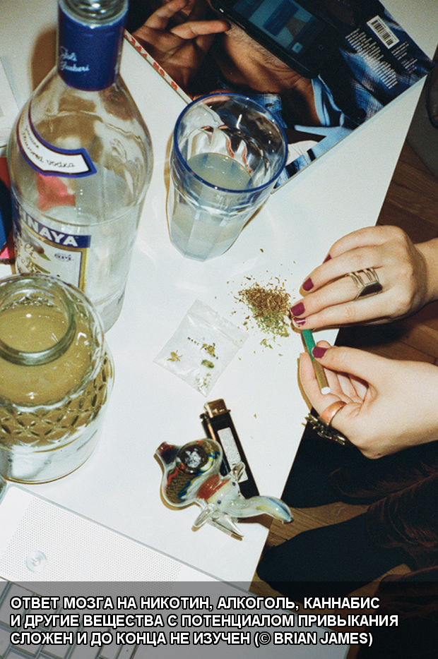 Ответ мозга на никотин, алкоголь, каннабис и другие вещества с потенциалом привыкания сложен и до конца не изучен