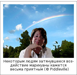 Некоторым людям затянувшееся воздействие марихуаны кажется приятным (© Piddleville)