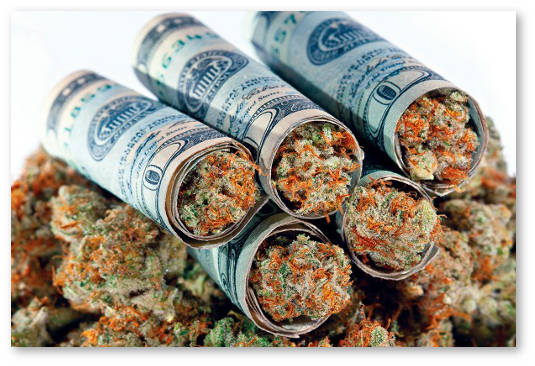 industriya proizvodstva marihuany v ssha 1