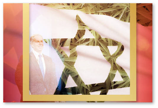 issledovaniya medicinskoj marihuany v izraile