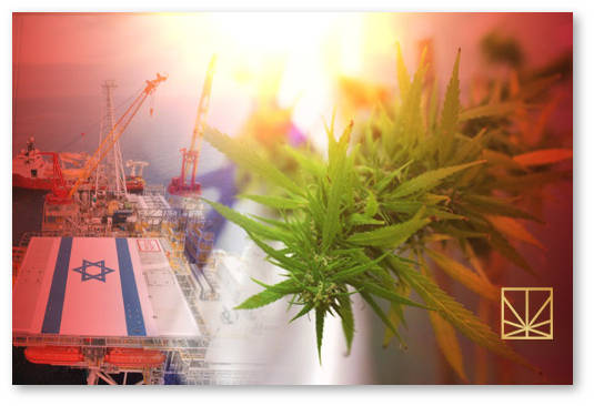 medicinskaya marihuana v izraile