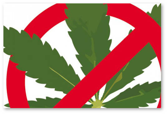 pav v rossii uzhestochenie