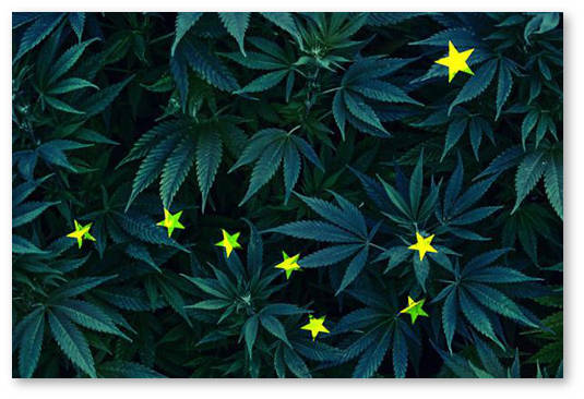 alyaska magaziny s zalami dlya upotrebleniya marihuany