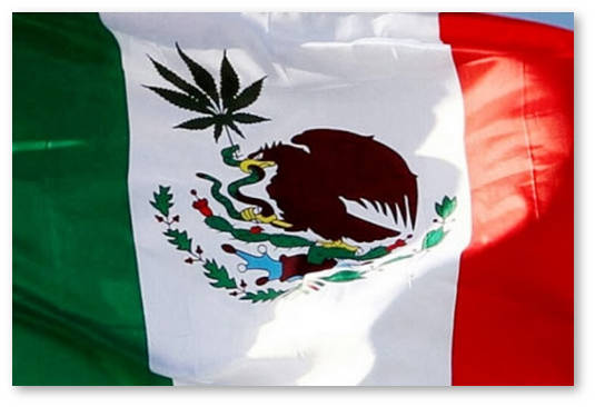 meksika medicinskaya marihuana