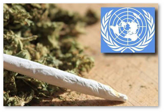 prizyvy k oon dekriminalizovat narkotiki