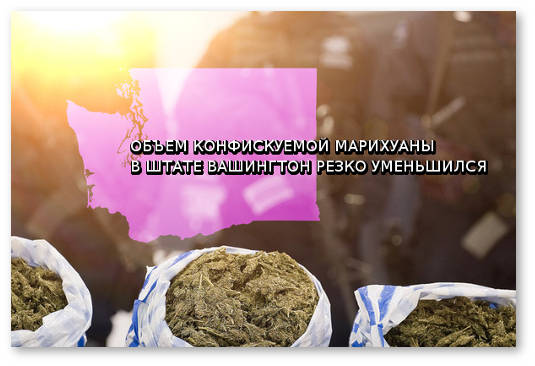 shtat vashington umenshenie nezakonnogo rynka marihuany