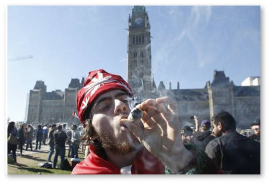 vlasti kanady namereny legalizovat marihuanu