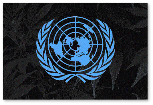 vojna s narkotikami prodolzhaetsya