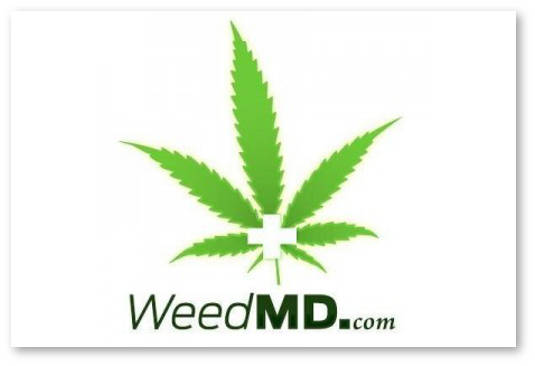 5083261903 weed md kanadskaya kompaniya po proizvodstvu marihuany