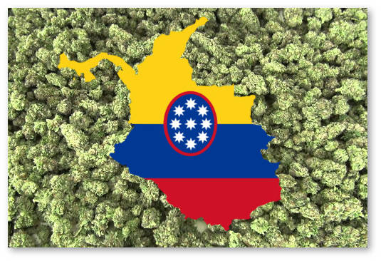 kolumbiya legalizovala medicinskuyu marihuanu