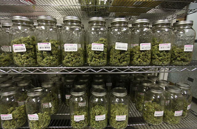 prolechka v steklyannyh bankah