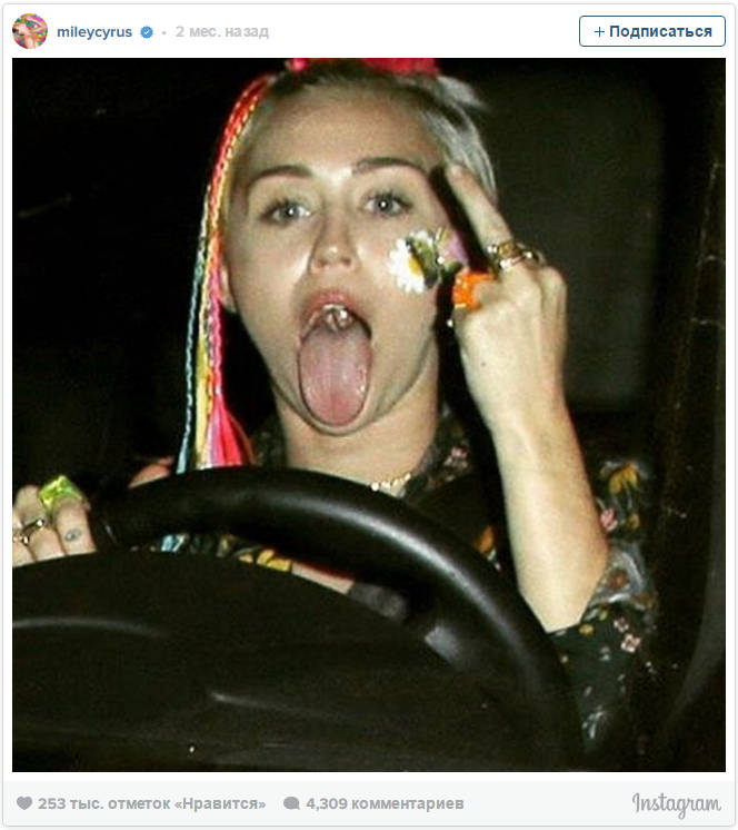 1464759068 tozhe ovca