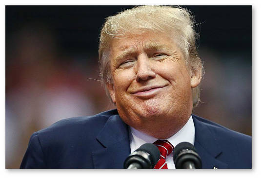 donald trump marihuana