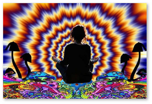 gallyucinogeny psilocibin meditaciya