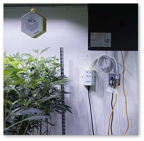 generator co2 datchikom ppm