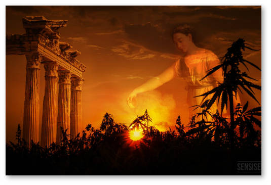 greciya konoplya marihuana gashish