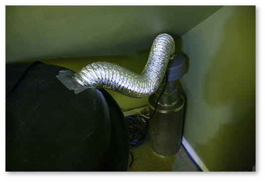 kak spravitsya s zapahom konopli