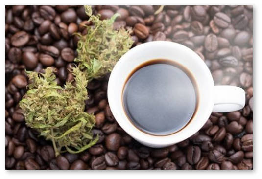 kofe marihuana