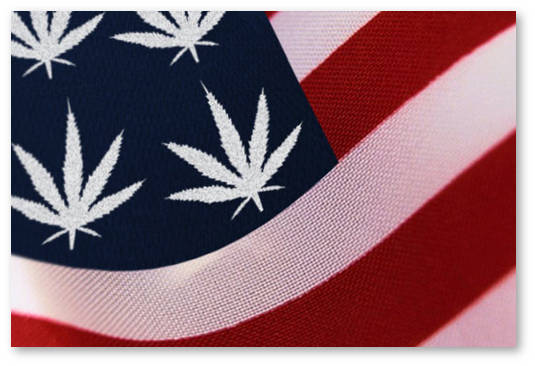 legalizaciya marihuany usa 2016