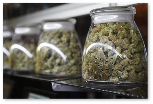 marihuana i zdorove desen