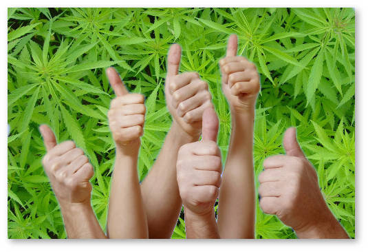 marihuana v detskoj onkologii