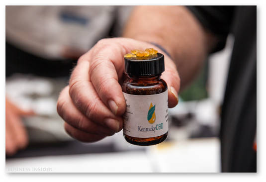 usa senat razreshit bankam rabotat s marihuanoj