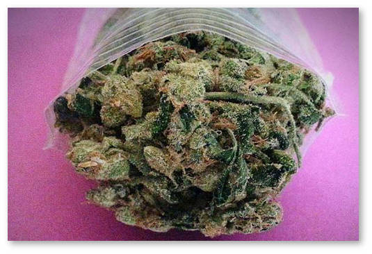 usa statistika upotrebleniya marihuany god mesyac