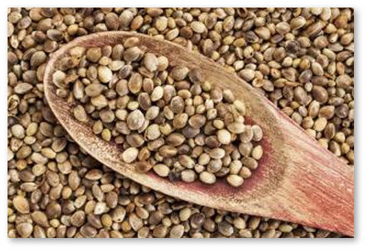 dieta s semenami konopli ot boleznej serdca