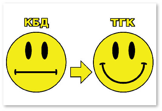 prevrashchenie cbd thc
