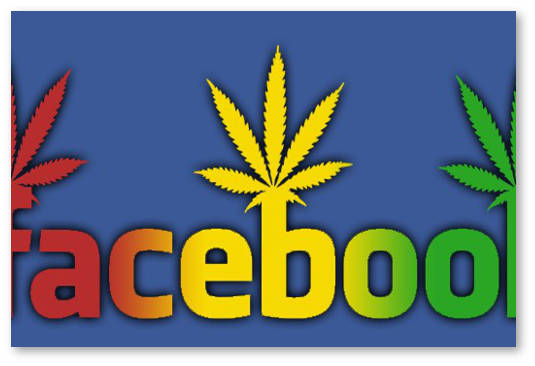 reklama marihuany facebook google