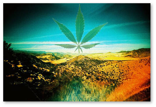 arizona iniciativa legalizacii marihuany