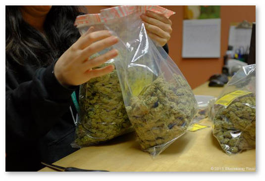 colorado ceny na marihuanu snizhayutsya