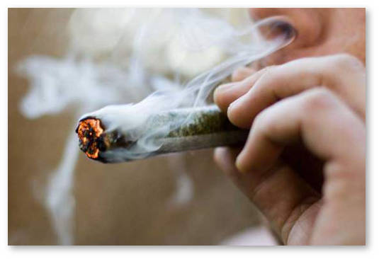 pentagon nanimaet kurilshchikov konopli