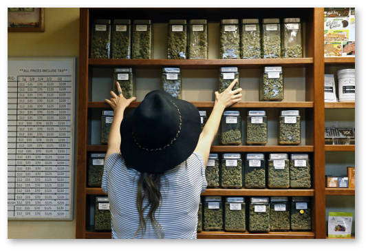 sociologicheskij opros upotreblenie marihuany