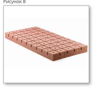 8. sazhaem konoplyu doma kubiki oasis