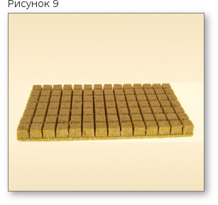 9. kak posadit konoplyu doma mineralnaya vata