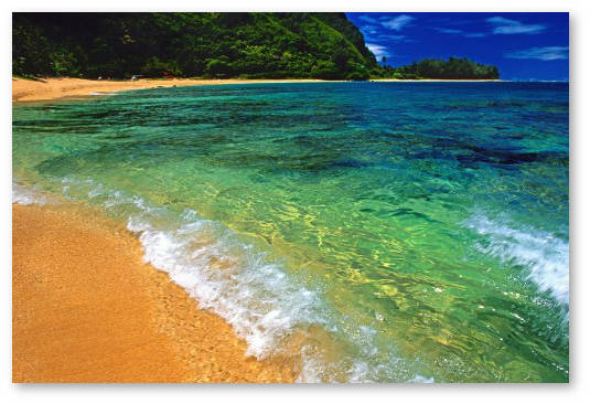 hawaii konoplyanye apteki medicinskaya marihuana