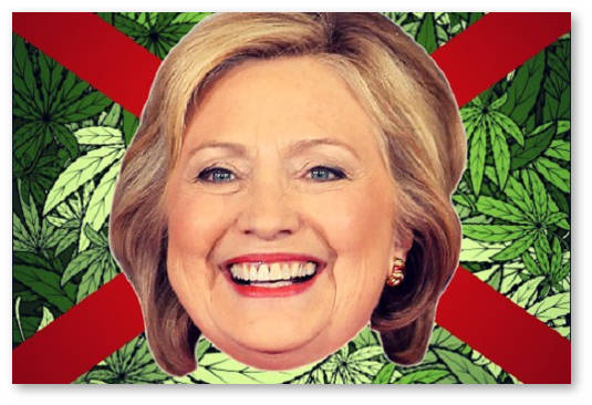 hillari klinton legalizaciya marihuany