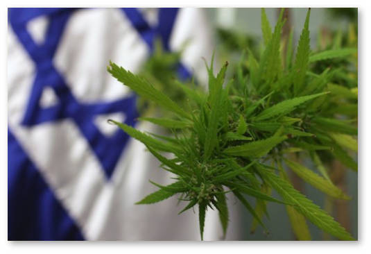 izrail aptechnaya set budet prodavat marihuanu