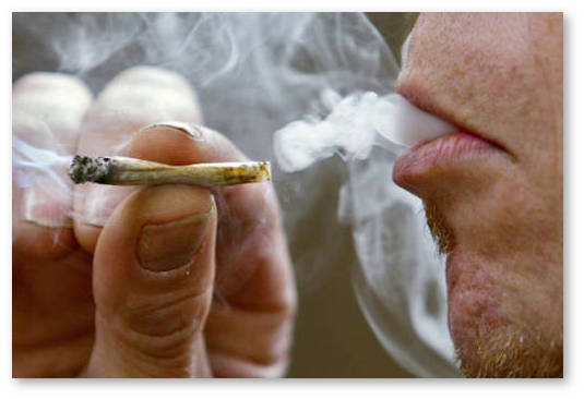 medicinskaya marihuana germaniya samostoyatelnoe vyrashchivanie