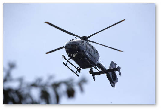 pensionerka vyrashchivaet marihuanu