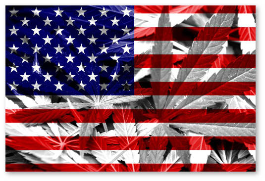 usa noyabr 2016 iniciativy po legalizacii marihuany