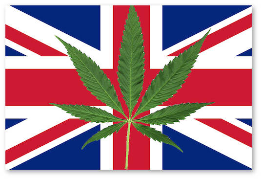 velikobritaniya dekriminalizaciya narkotikov