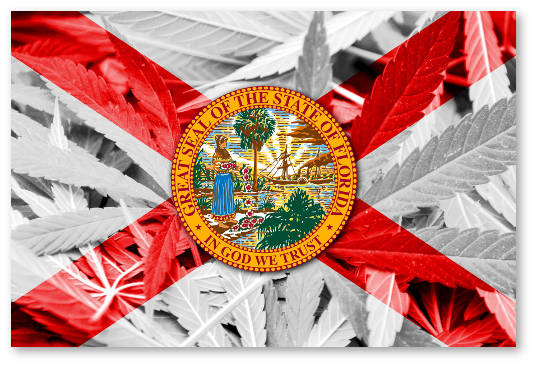 florida protivniki legalizacii medicinskoj marihuany