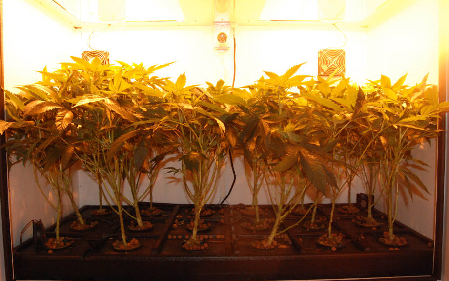 groutent ili grouboks