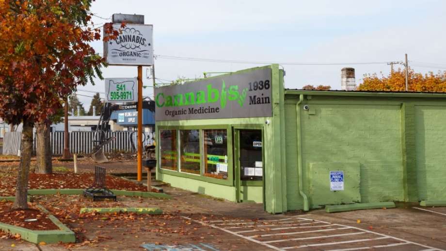 investicii konoplyanuyu otrasl