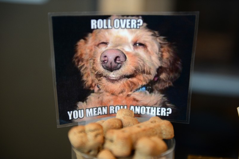 konoplyanye korma domashnih zhivotnyh 01